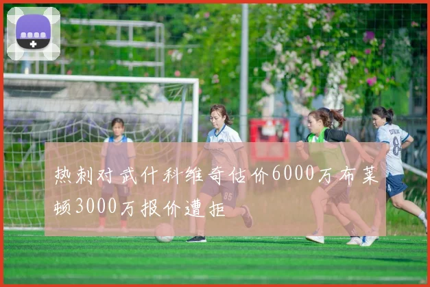 热刺对武什科维奇估价6000万布莱顿3000万报价遭拒