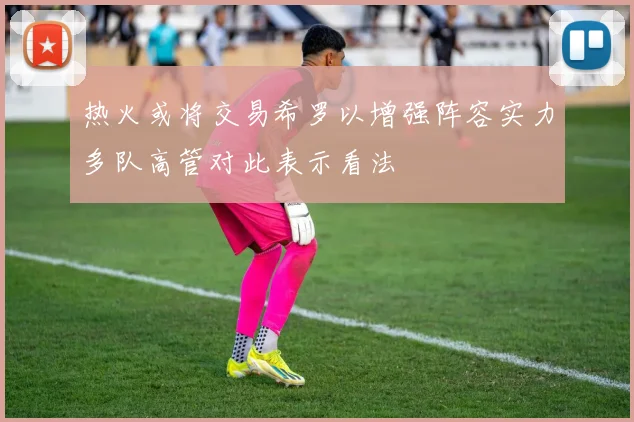 热火或将交易希罗以增强阵容实力多队高管对此表示看法